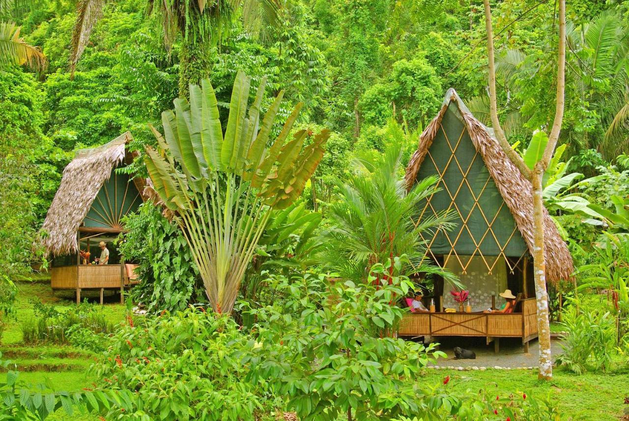 Finca Exotica Eco Lodge Carate Exterior foto
